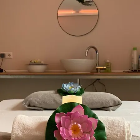 Plaza Premium 4* Heidelberg