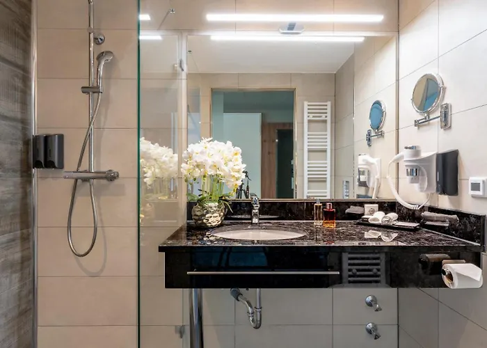 Plaza Premium 4* 海德堡