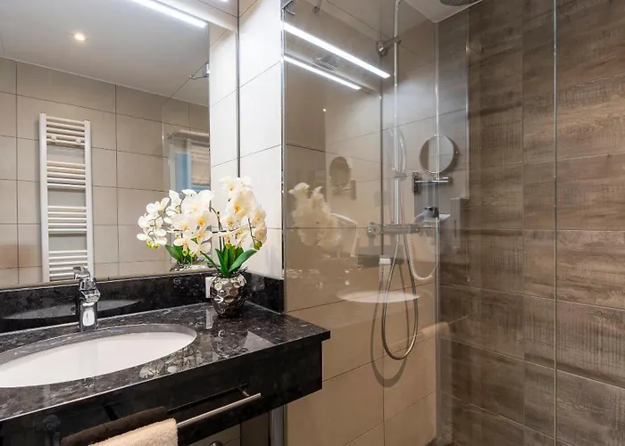 Plaza Premium 海德堡