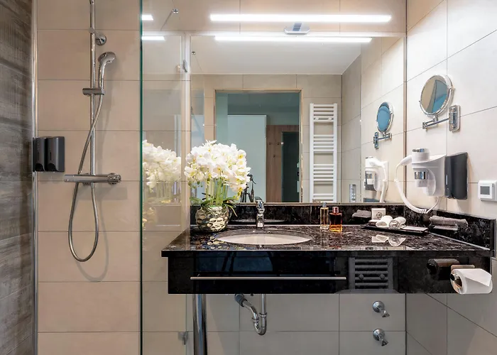 Plaza Premium 4* Heidelberg